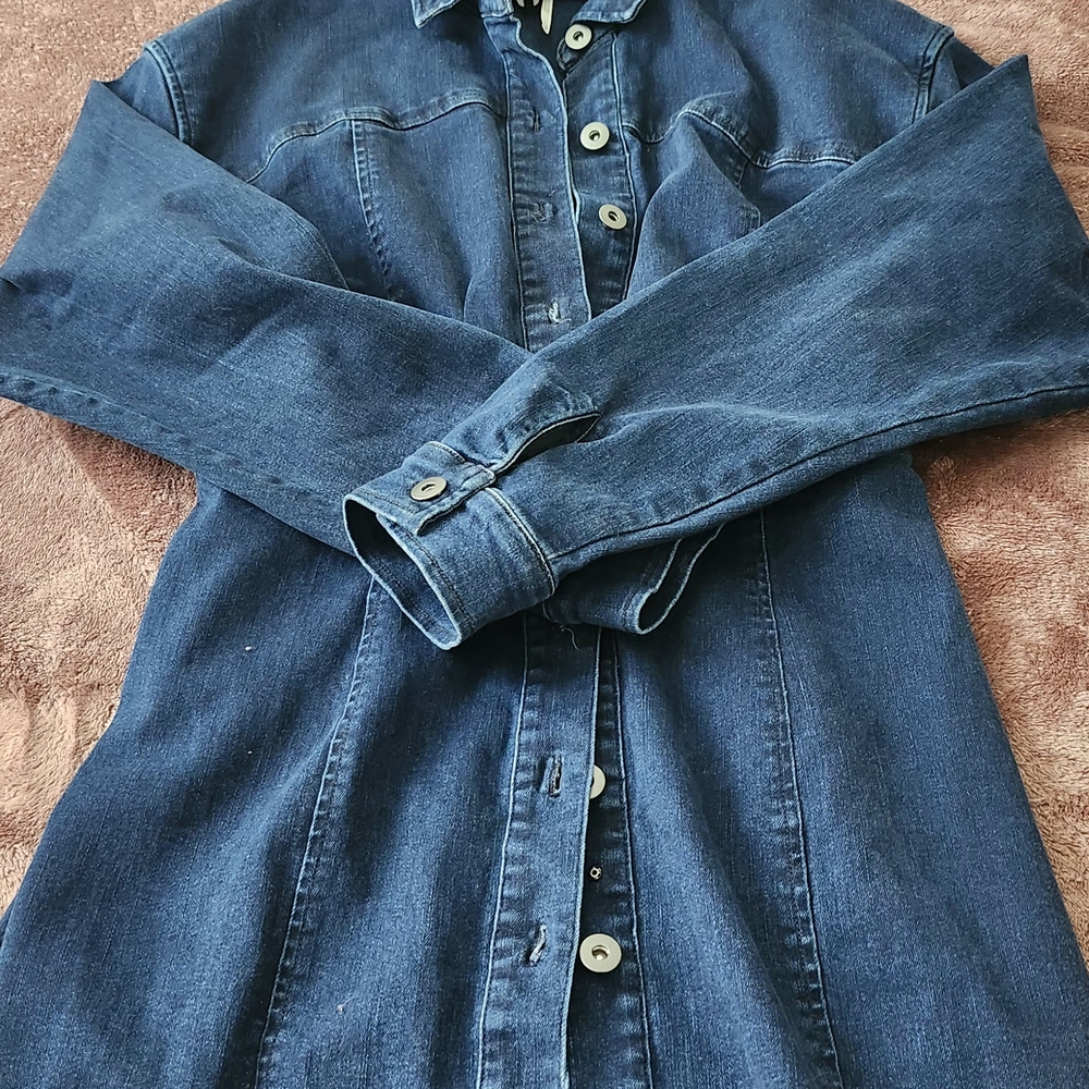 Free People Denim Long Sleeve Dress